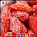 As bagas de goji de baixo Suger beneficiam wolfberry lycium barbarum